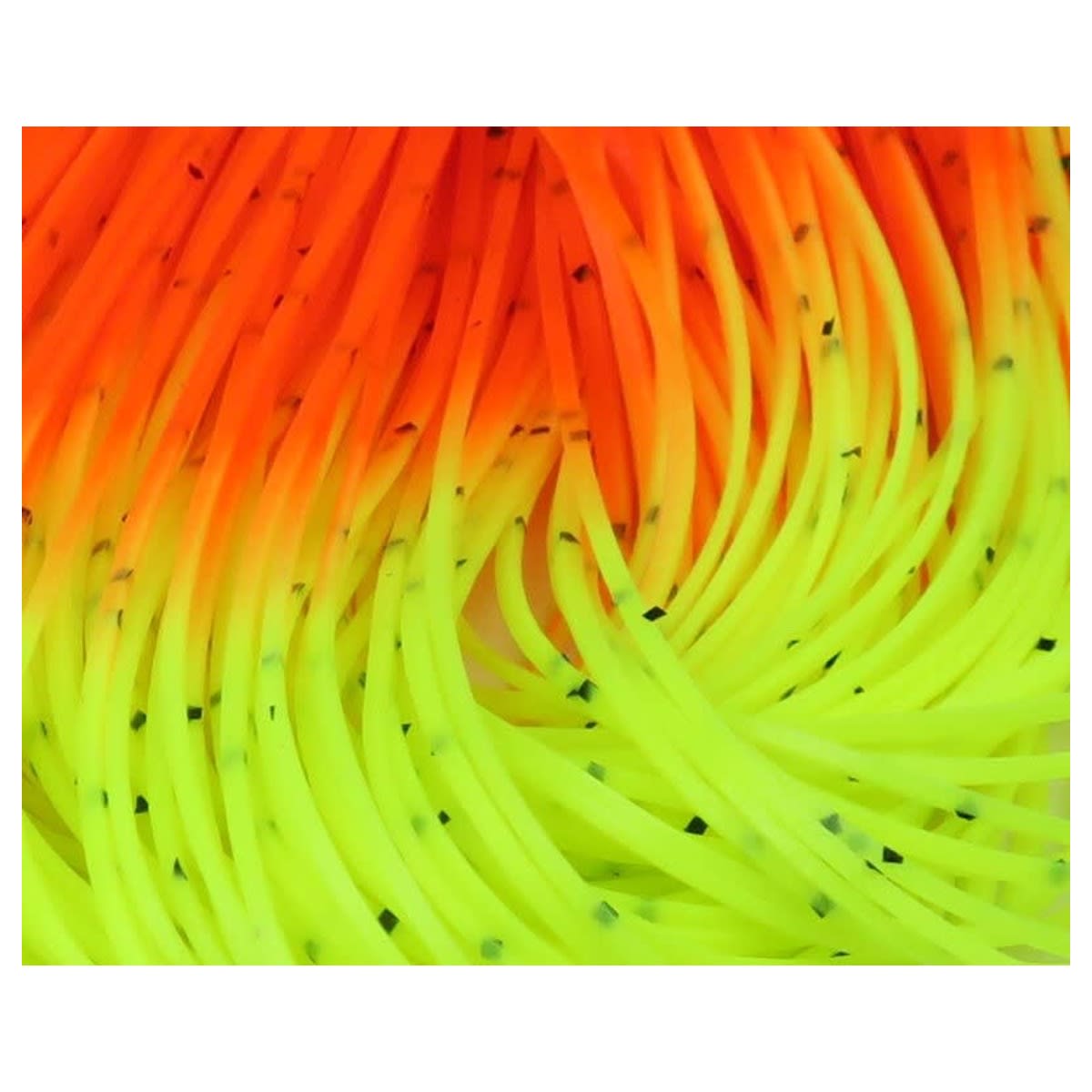 CRAZY LEGS YELLOW CHART FL ORANGE1