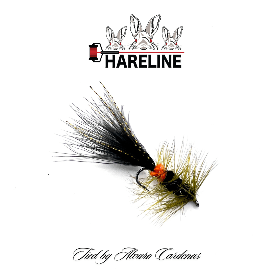 WOLLY NEGRA CULIROJA BY ALVARO CARDENAS1