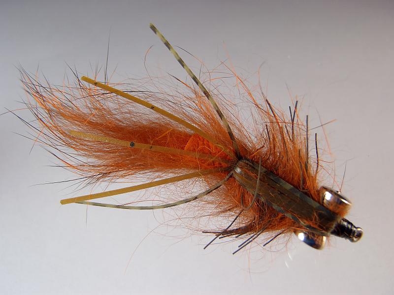 MOSCA PRIMORDIAL #61