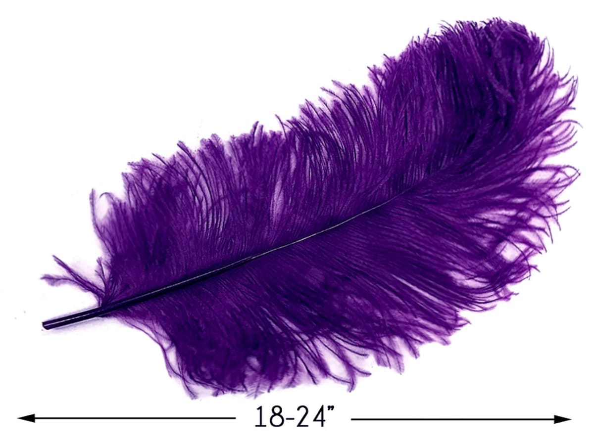 OSTRICH  PLUME3