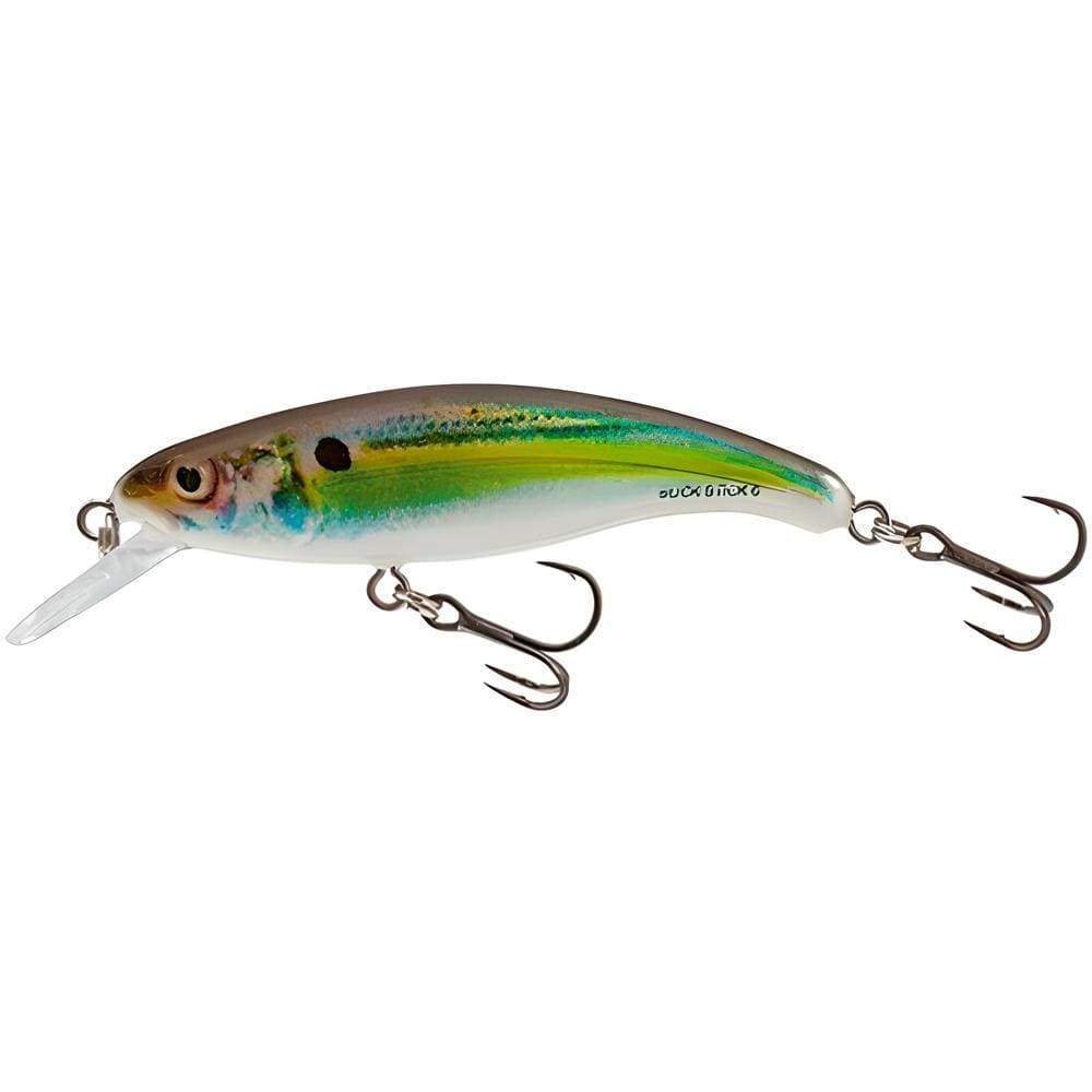 SEÑUELO MINNOW SALMO SLICK STICK 6 FLOATING 6CM4