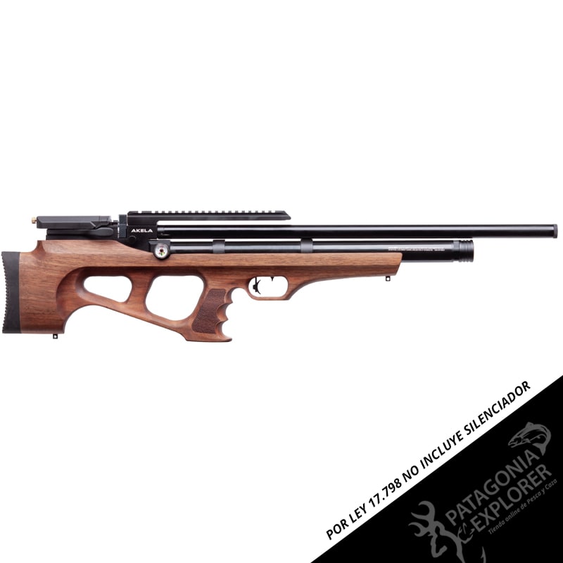 RIFLE PCP BENJAMIN AKELA1