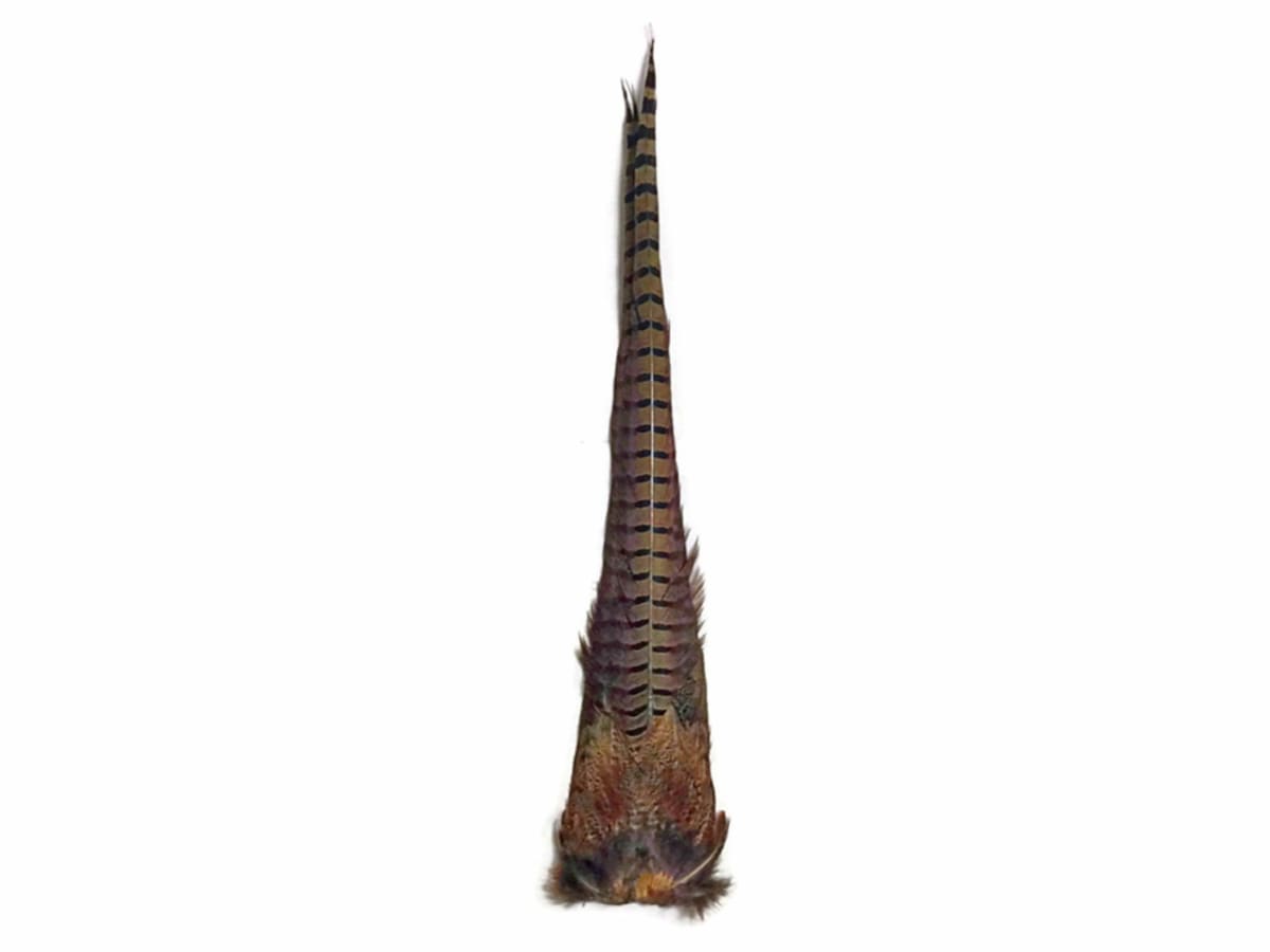 RING PHEAS COMPLETE TAIL CLUMP1