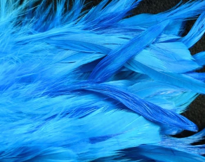 FISH HUNTER SCHLAPPEN2