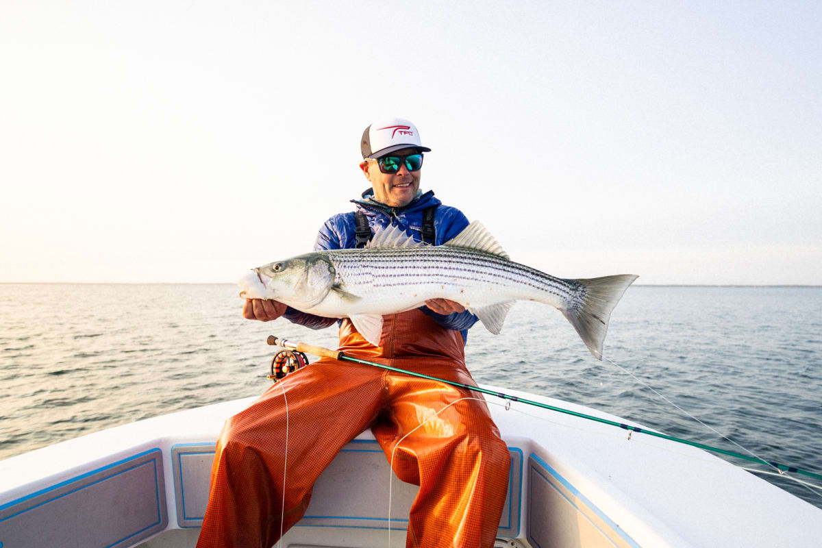 CAÑA TFO MODELO BLIZ3