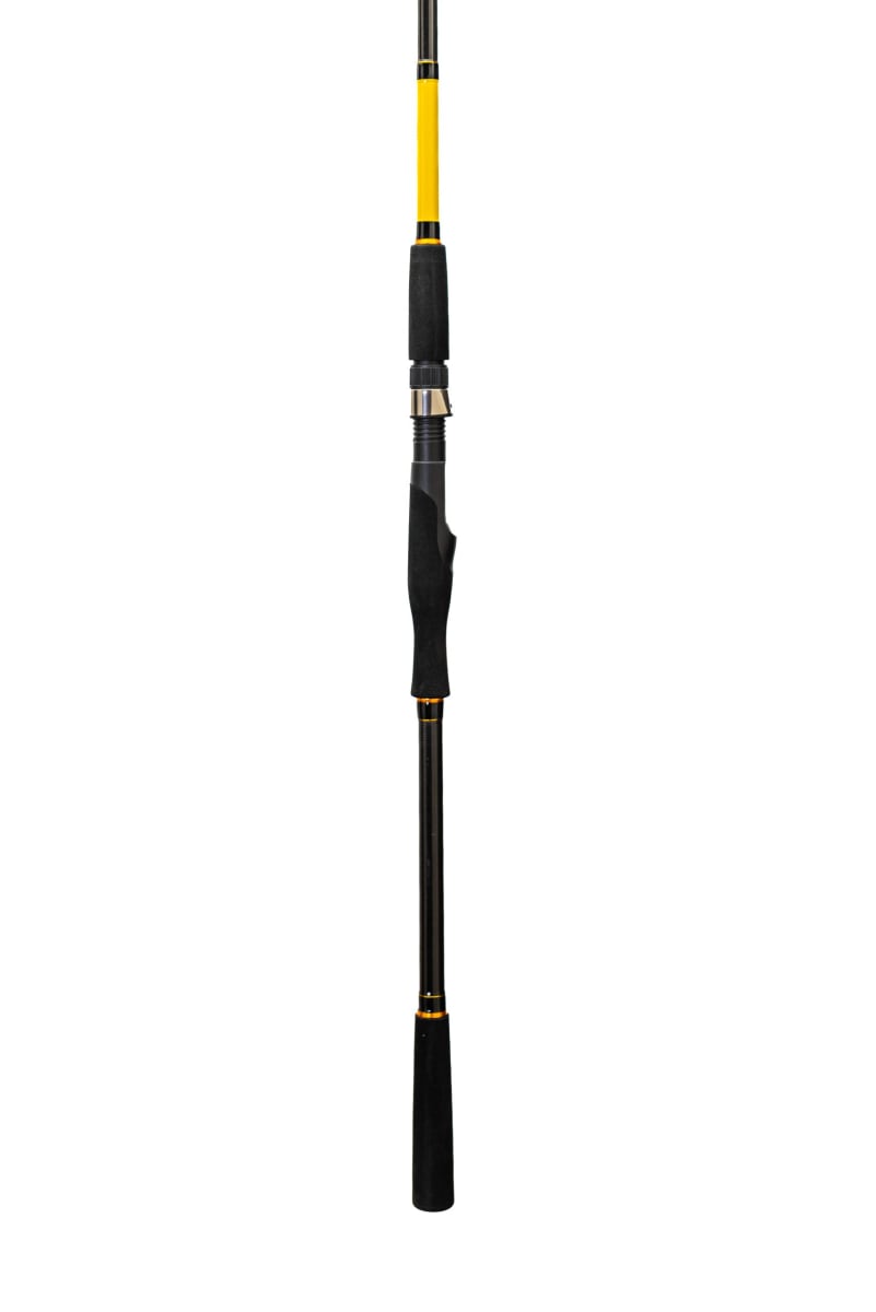 CAÑA SHIMANO FX XT SEA BASS 300CM 30-60GR1