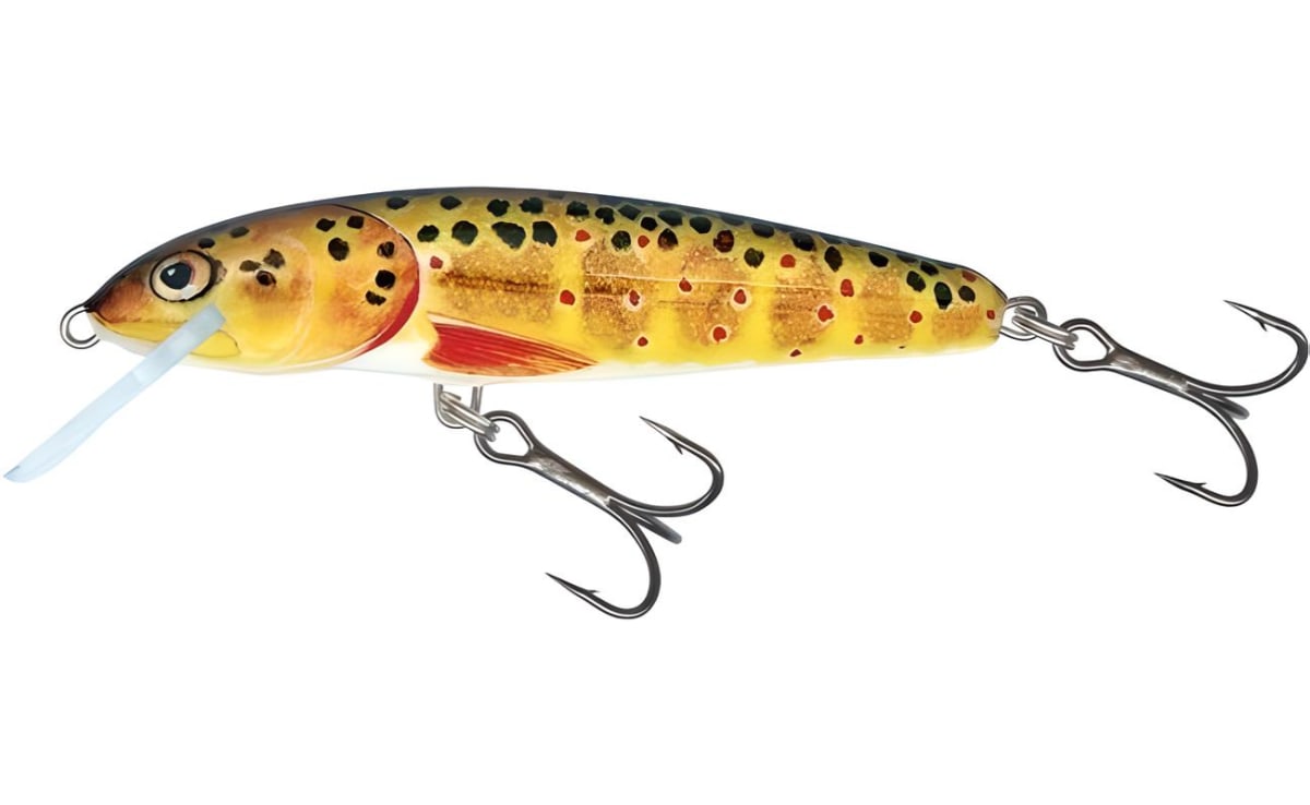 SEÑUELO SALMO MINNOW FLOATING 6CM10