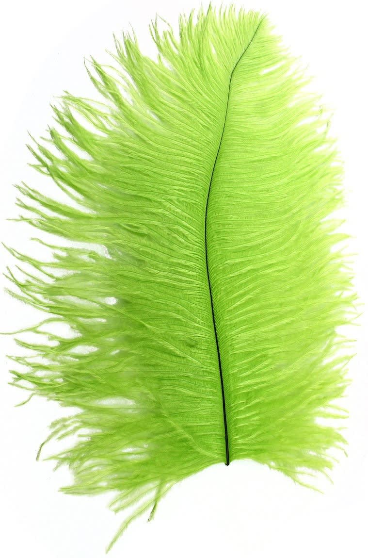 OSTRICH PLUME NATURES SPIRIT GREEN OPSH -791