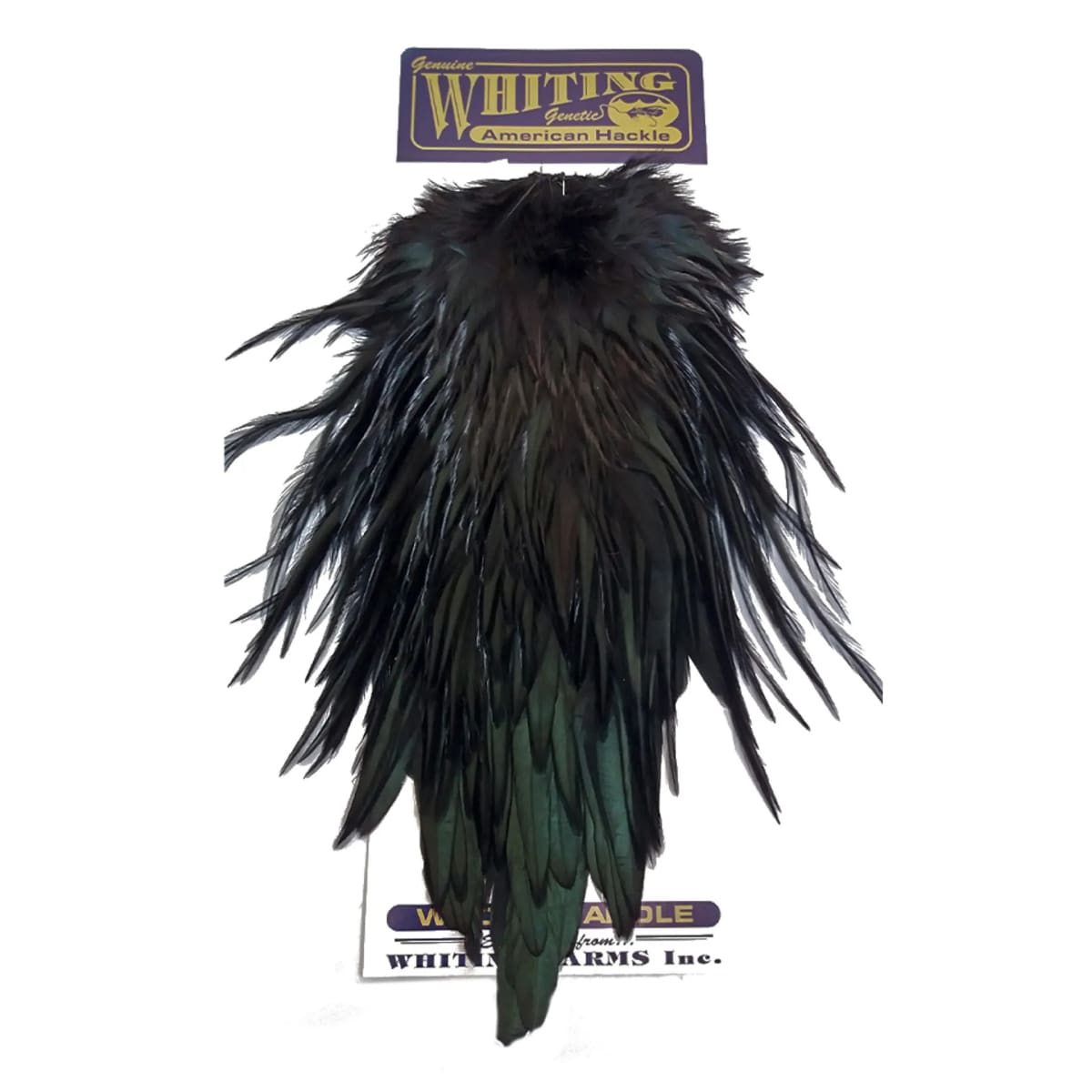 AMERICAN ROOSTER SADDLE1