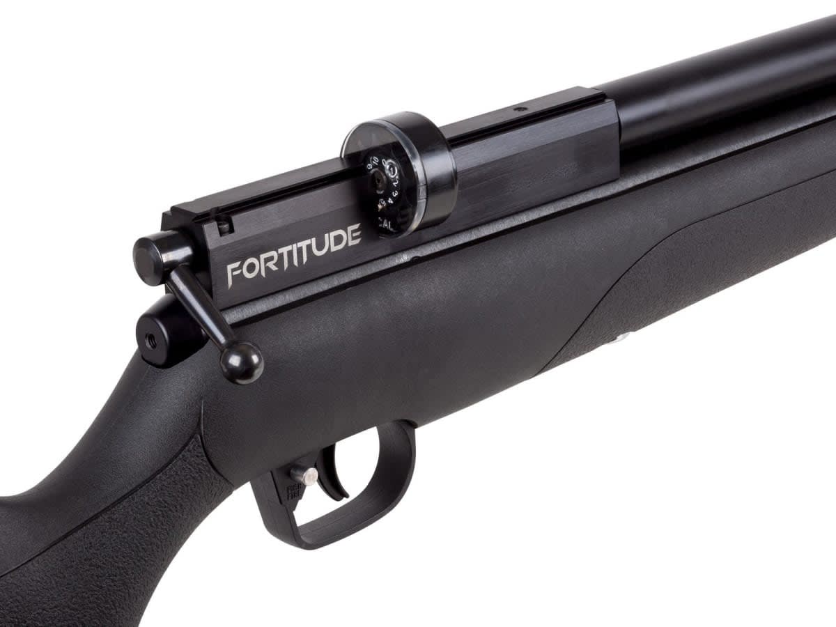RIFLE PCP BENJAMIN FORTITUDE G22