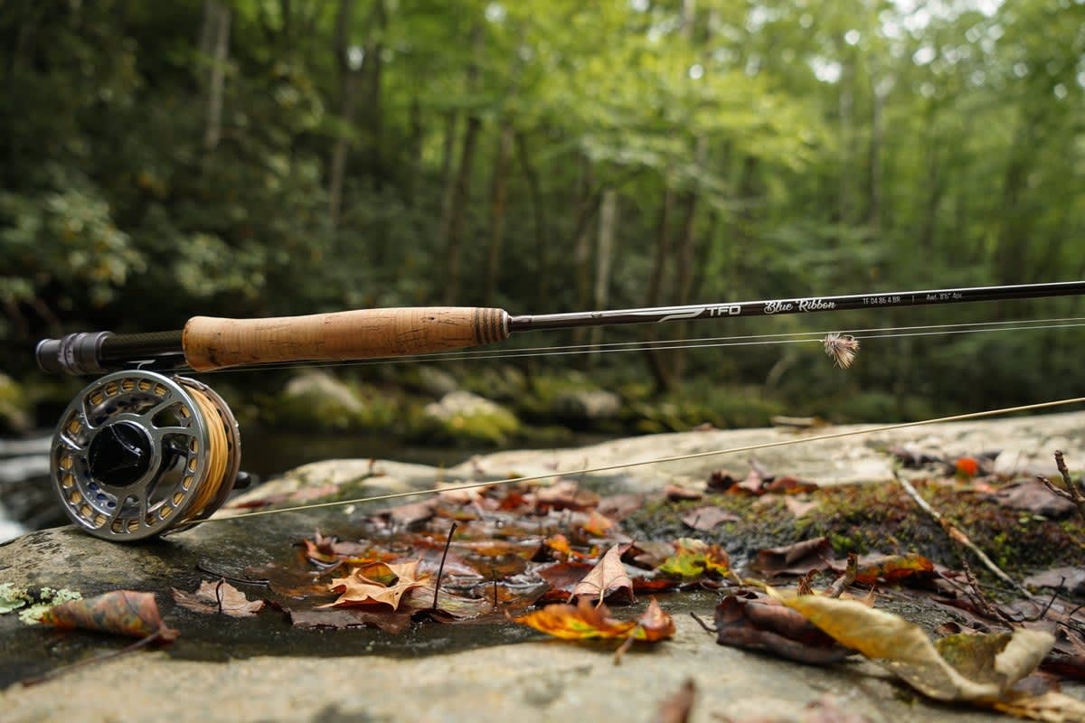 CAÑA FLY FISHING TFO BLUE RIBBON 10 PIES2