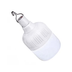 Foco Led Recargable 50w Home Light
