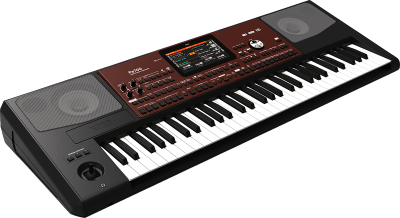 Teclado Arranger PA700 Korg