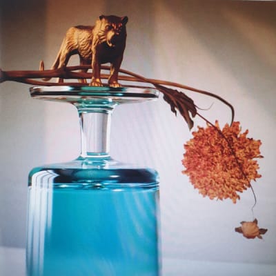 BEIRUT VINILO GALLIPOLI
