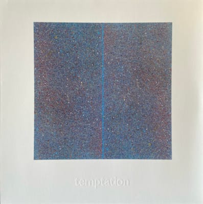 NEW ORDER VINILO 12