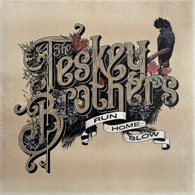TESKEY BROTHERS, THE VINILO RUN HOME SLOW