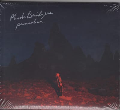 BRIDGERS, PHOEBE CD PUNISHER