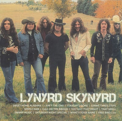 LYNYRD SKYNYRD VINILO ICON (2LP)