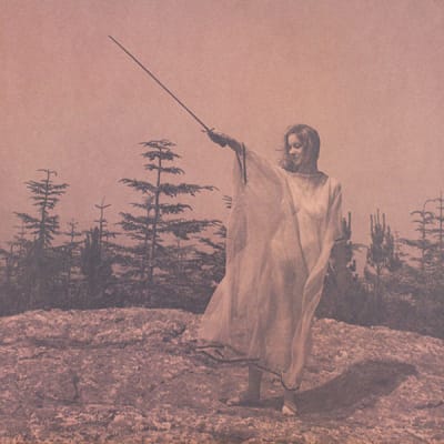 UNKNOWN MORAL ORCHESTRA VINILO II
