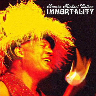 WALDEN, NARADA MICHAEL VINILO INMORTALITY (LTD ED SUNBURST 180G)