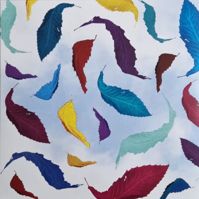 NEW ORDER VINILO 12