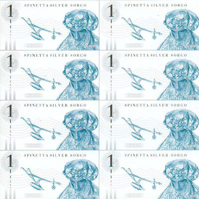 SPINETTA, LUIS ALBERTO (CD) SILVER SORGO (CD)