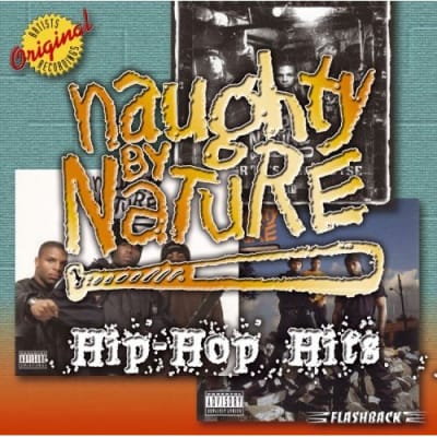 NAUGHTY BY NATURE HIP HOP HITS CD