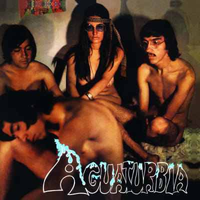 AGUATURBIA VINILO AGUATURBIA