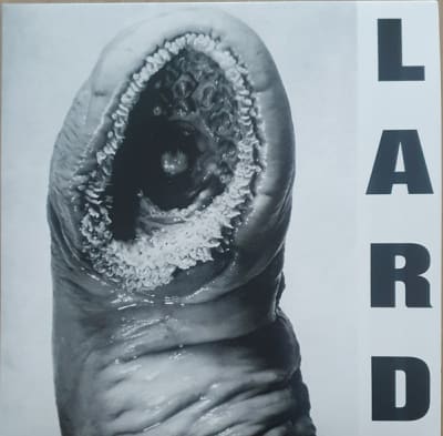 LARD VINILO POWER OF LARD - WHITE