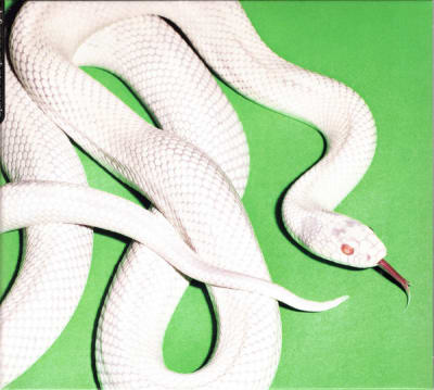 DEFTONES CD PRIVATE MUSIC