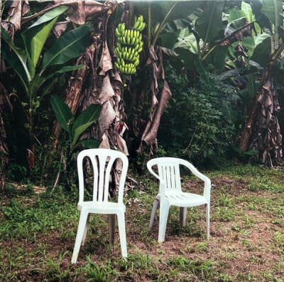 BAD BUNNY VINILO DEBI TIRAR MAS FOTOS