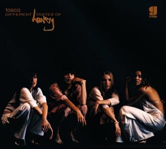 TOSCA VINILO Different Tastes of Honey - 4 LP -