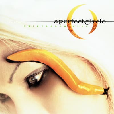 A PERFECT CIRCLE VINILO THIRTEENTH STEP