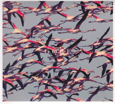 DEFTONES CD GORE