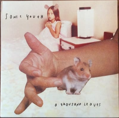 SONIC YOUTH VINILO A Thousand Leaves 2LP