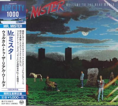 MR MISTER CD WELCOME TO THE REAL WORLD