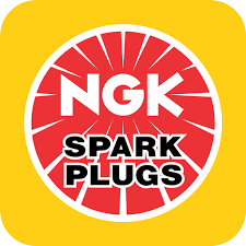 BUJIA NGK CPR8EA-91