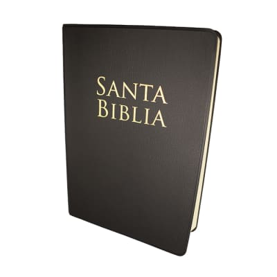 BIBLIA VINILO NEGRO