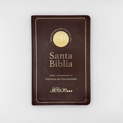 BIBLIA SIST. DISCIPULADO NEGRA ULTRA FINA