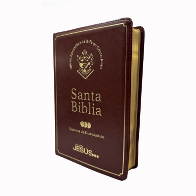 BIBLIA SIST. DISCIPULADO CAFÉ LETRA GIGANTE