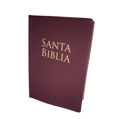 BIBLIA VINILO BORGOÑA