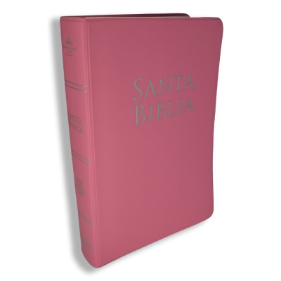 BIBLIA VINILO ROSA