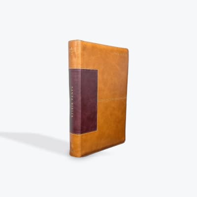 BIBLIA LETRA ULTRA GIGANTE BICOLOR