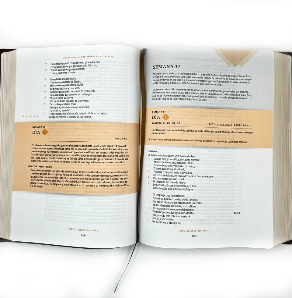 BIBLIA CRONOLÓGICA DIA POR DIA3