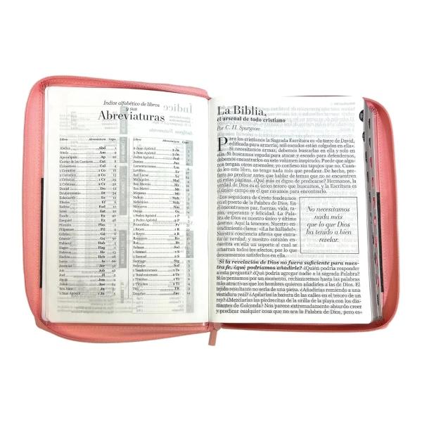BIBLIA CLASSIC ABBA ROSA/CAFÉ2