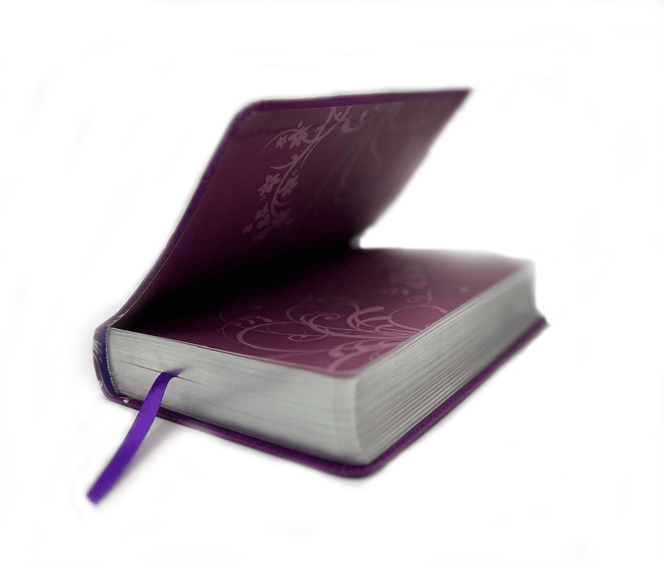 BIBLIA MIS 15 MARIPOSAS1