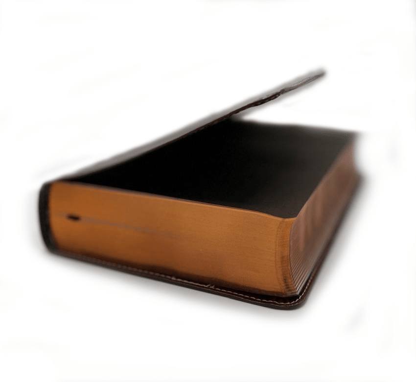 BIBLIA PESHITTA DUOTONO3