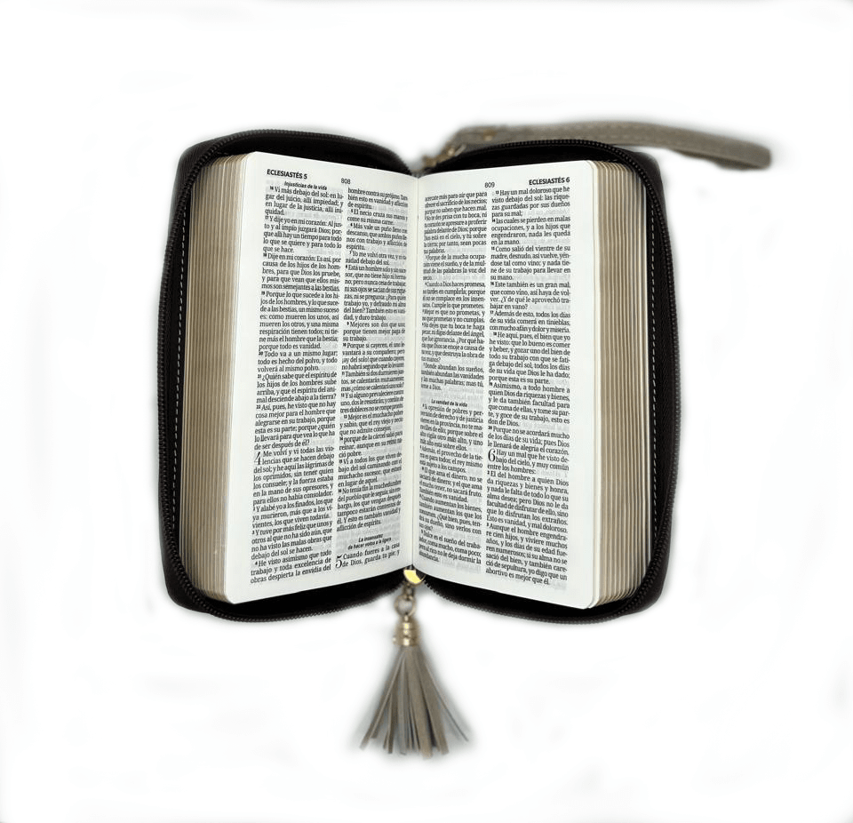 BIBLIA HORIZONTE CREMA/CAFÉ3