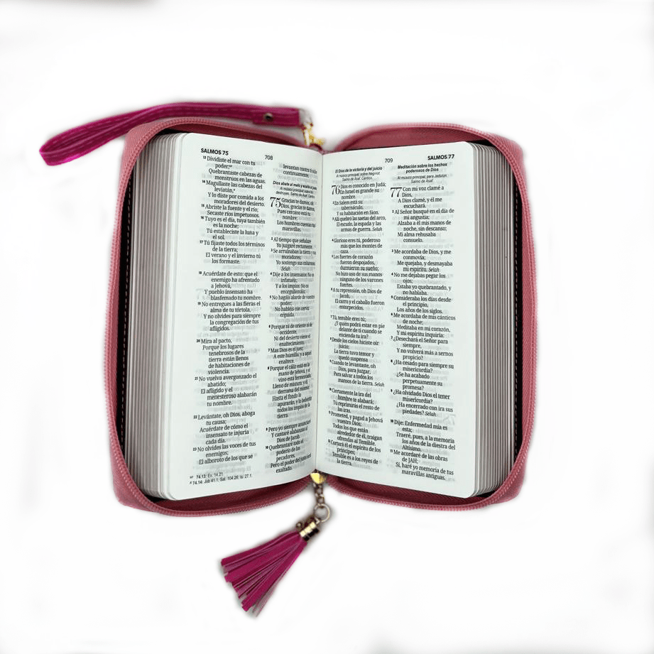 BIBLIA HORIZONTE FUCSIA/ROSA4