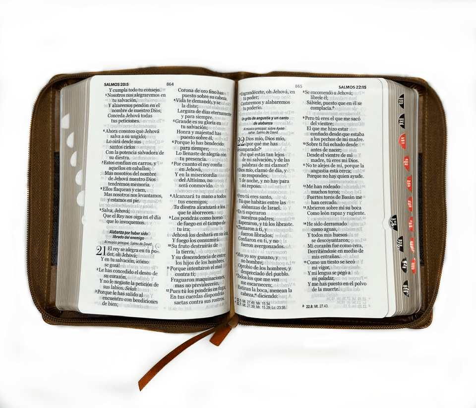 BIBLIA CLASSIC ABBA CAFÉ1